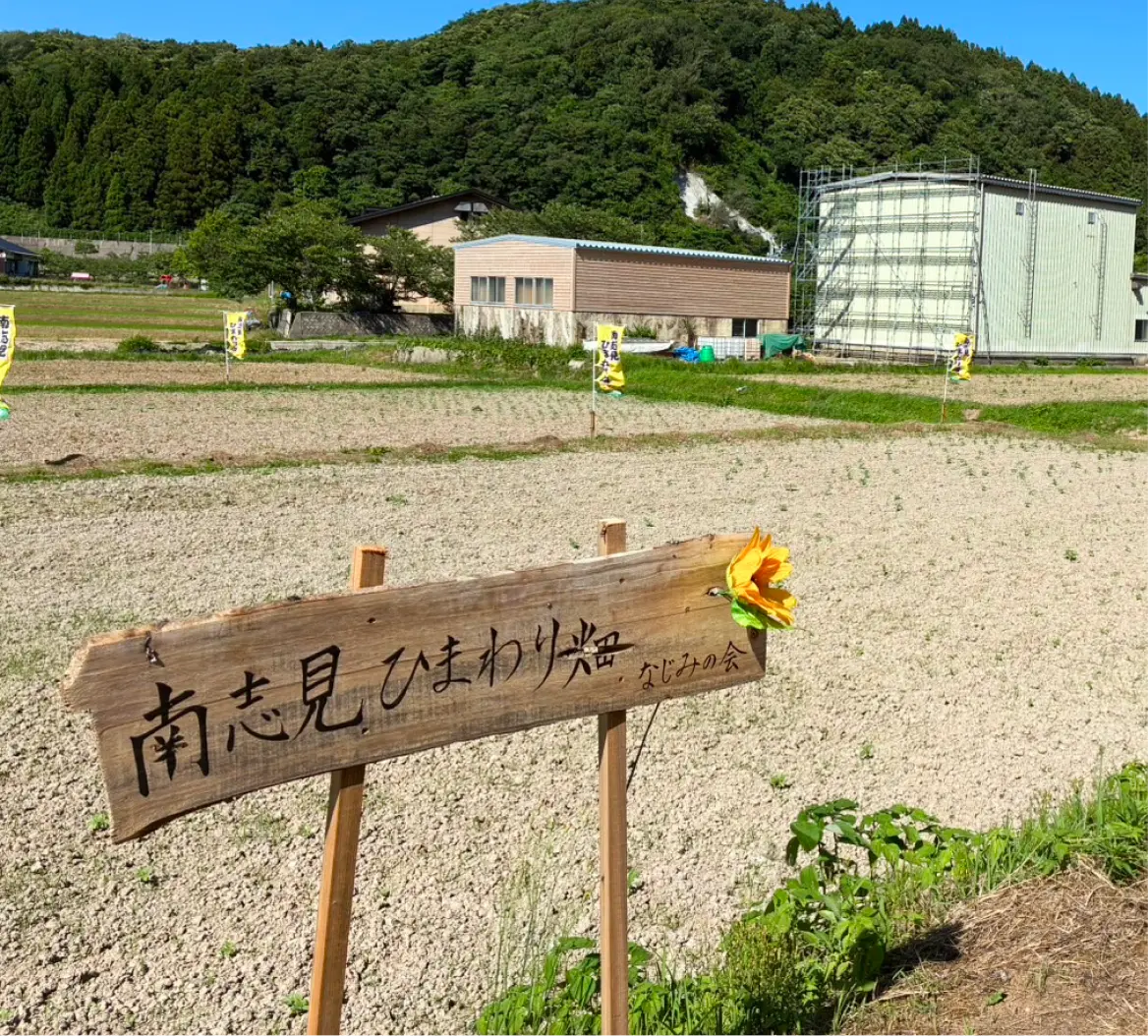 なじみ希望畑